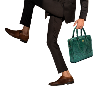 Perseus, The Brief case