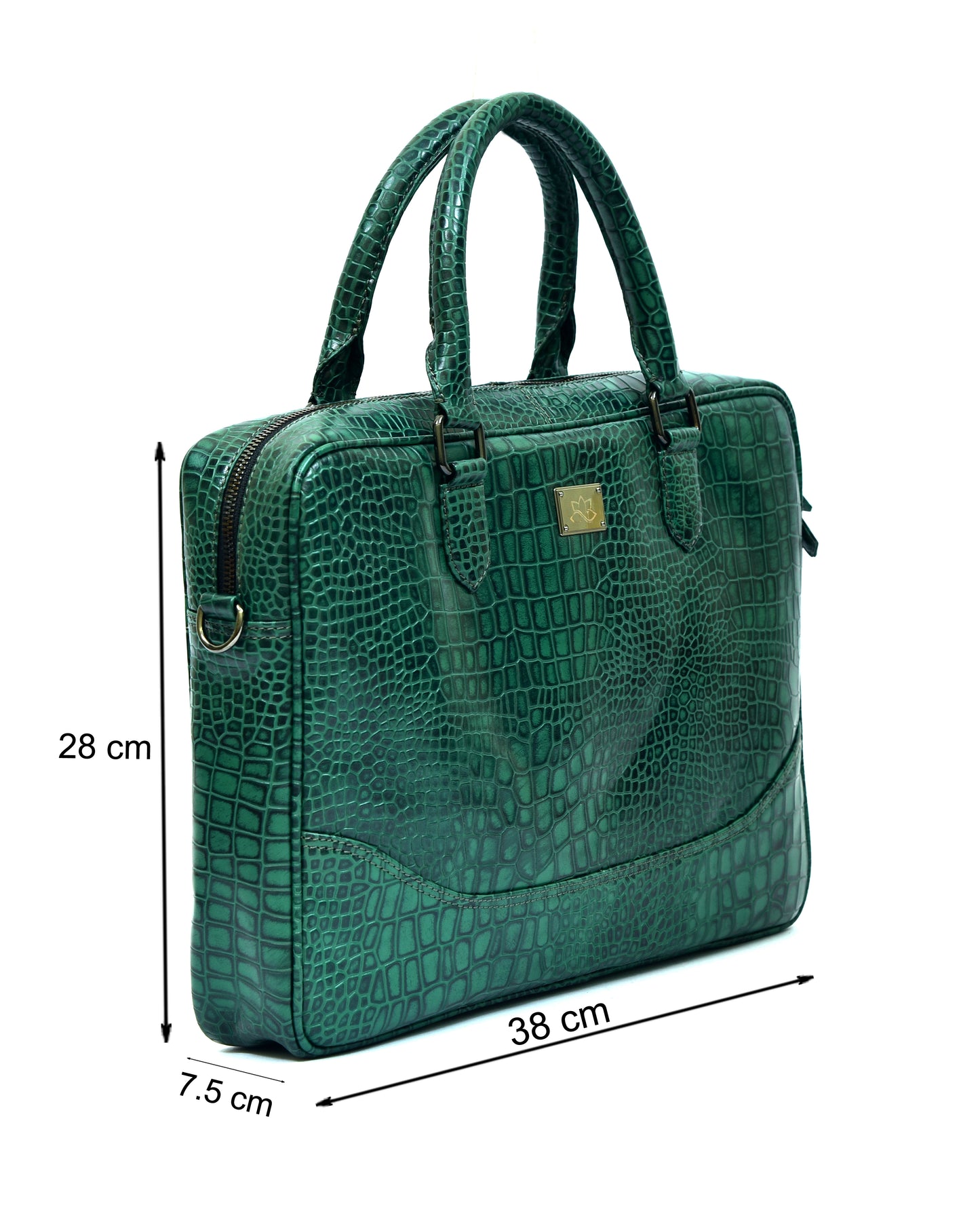 Perseus, The Brief case