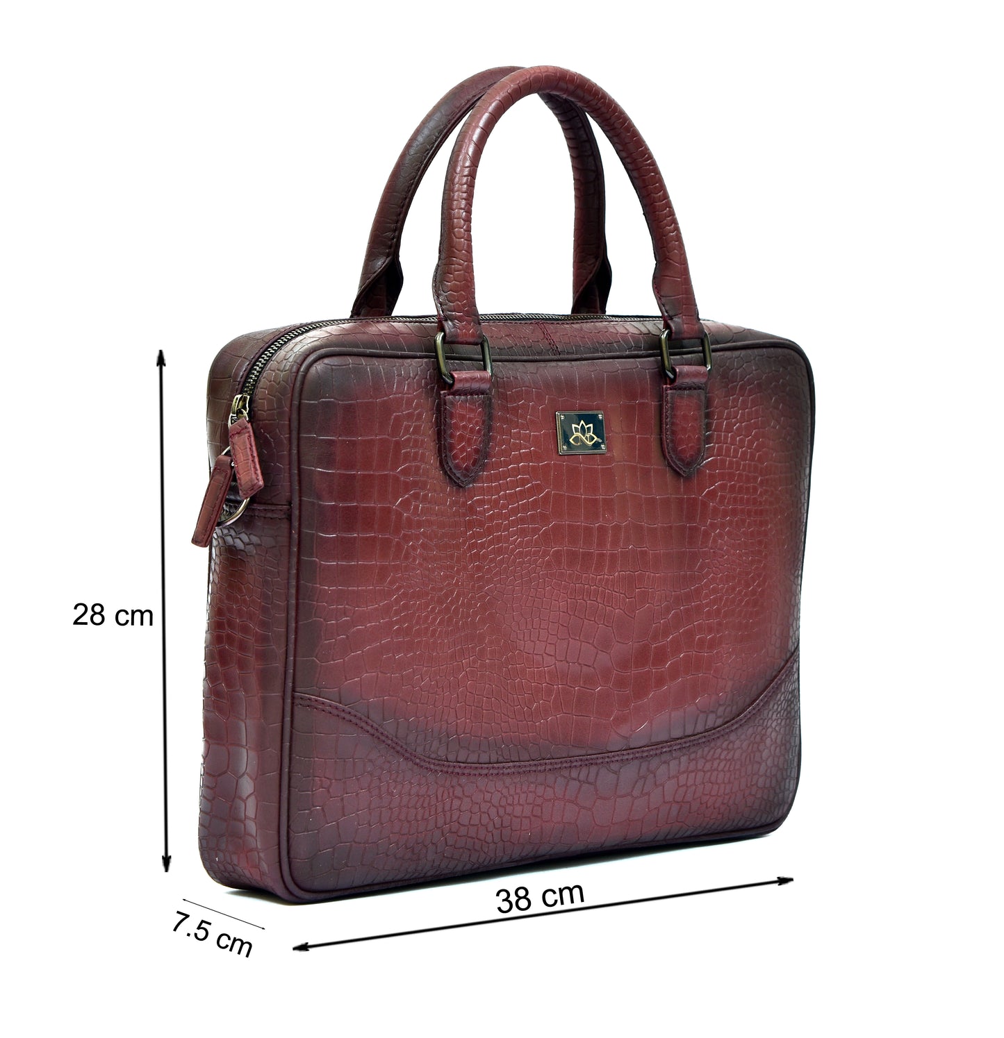 Perseus, The Brief case