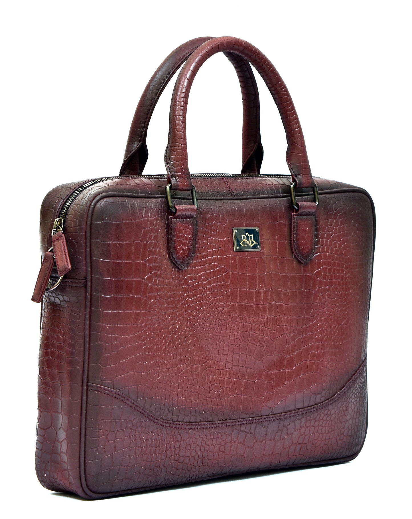 Perseus, The Brief case