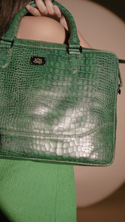Perseus, The Brief case